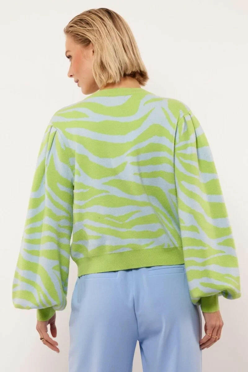 Fluresk Salix Cardigan – Truien van Fluresk, kleur M, maat | JoAnnco