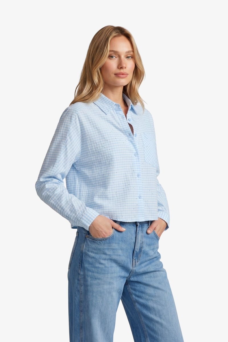 Lichtblauwe katoenen blouse met fijne ruit, vooraanzicht | Fluresk Benja blouse | Jo&Co Club