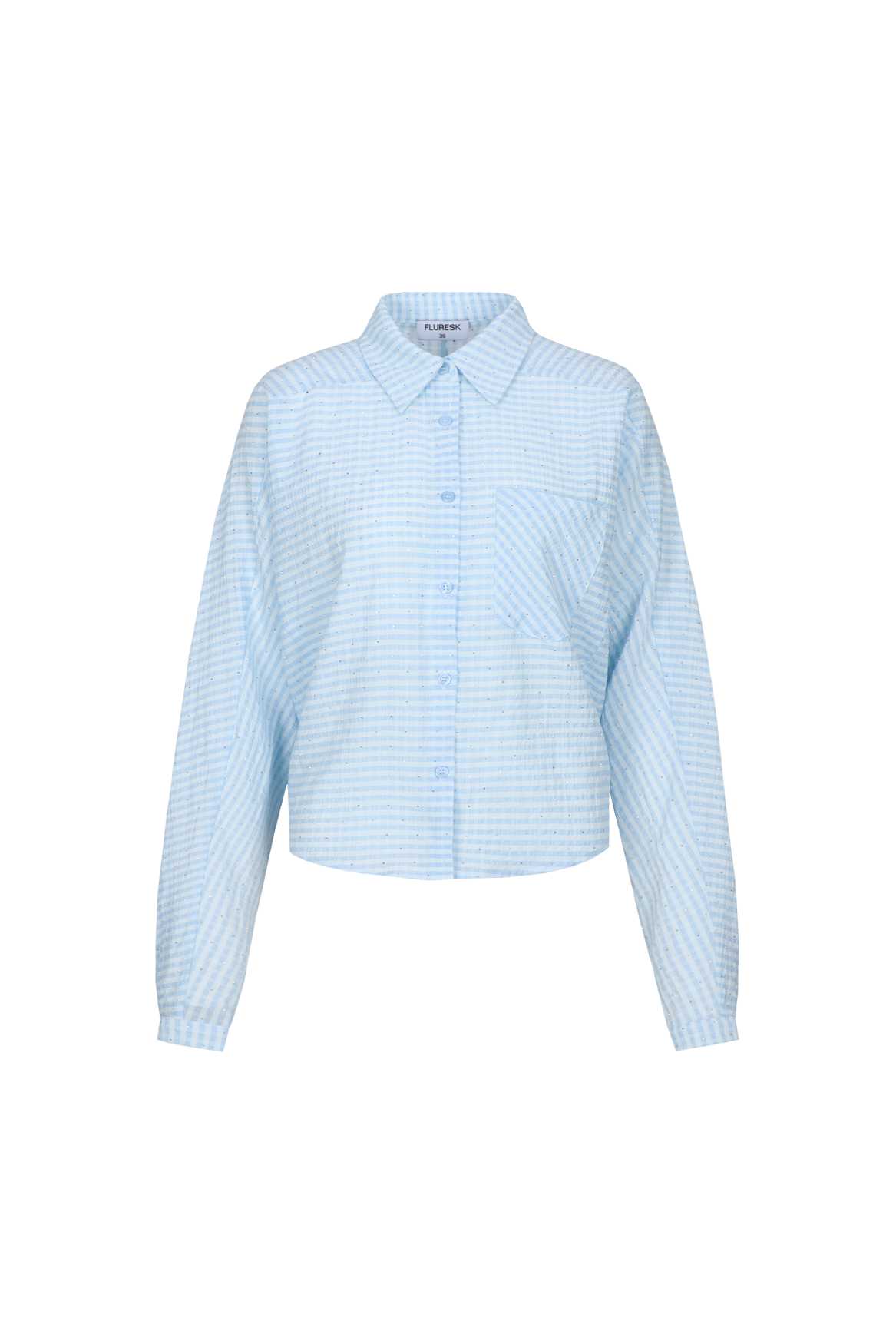 Lichtblauwe katoenen blouse met fijne ruit, productfoto | Fluresk Benja blouse | Jo&Co Club