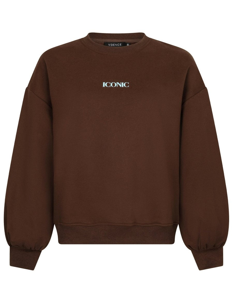 Vrijstaande productfoto van een trui in bruin op een witte achtergrond | Ydence Iconic | Jo&Co Club